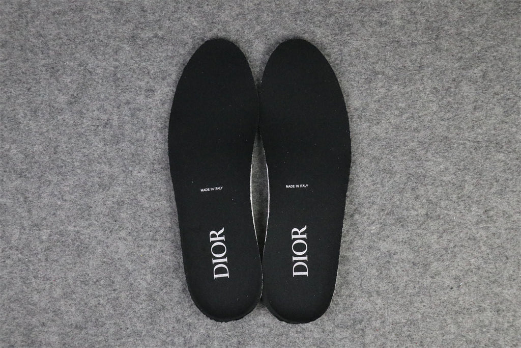 Dior B22 'Black Reflective'
